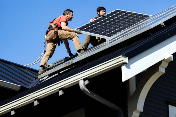 Best Roof Moss and Algae Removal  in Enlow, PA